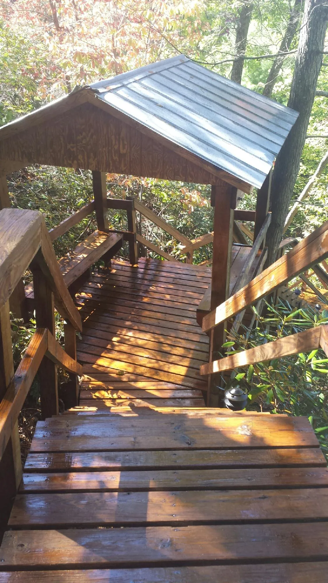 Freshly stained wood walkway and covered shelter with a metal roof in Longwood